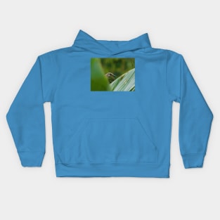 Peek a boo Kids Hoodie